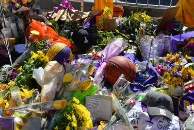 DSC_7121 (Large).JPG